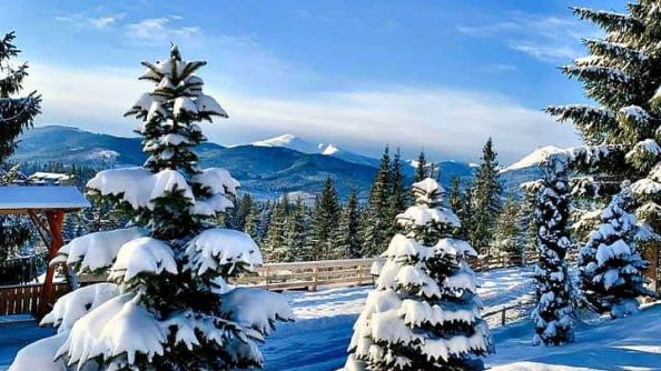 Год сменился…  Л.Володарская