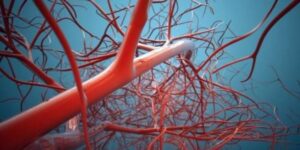 Гимнастика для сосудов