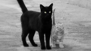 ПАПОЧКА — Олег Бондаренко