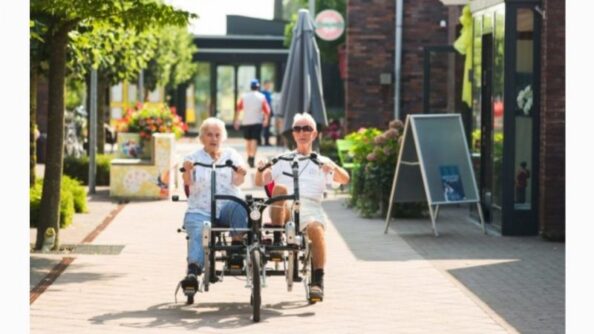 Рай для слабоумных