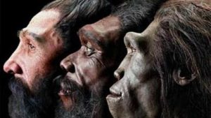 Первобытные люди: когда они появились и где сегодня можно встретить дикие племена