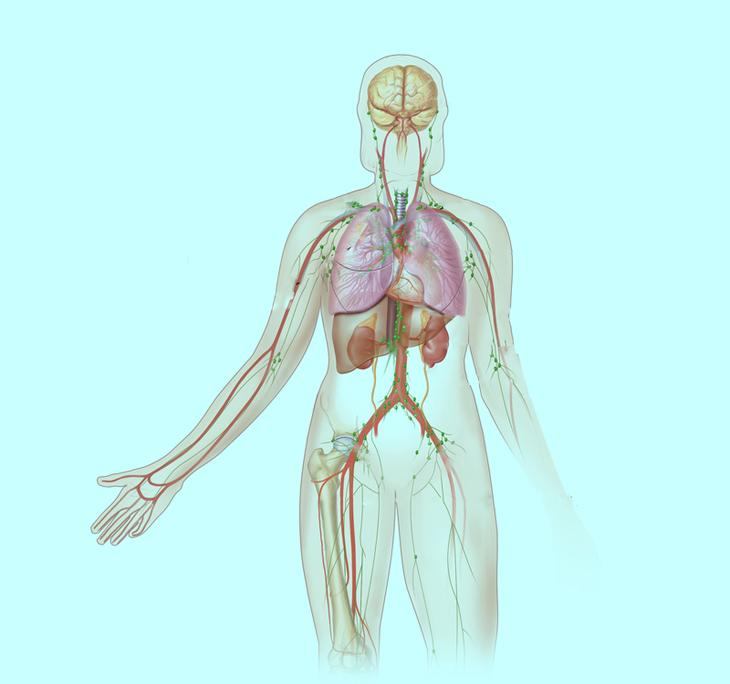 Как убрать лишнюю воду и килограммы из организма