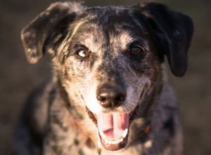 Интересные факты, которые вы сегодня узнаете