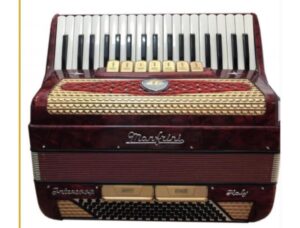 Как я не стал аккордеонистом — Александр Литевский