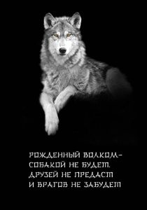 А вы знали, что ВОЛК…
