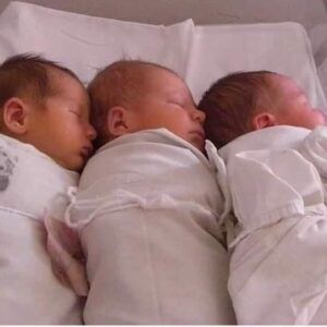 Продолжение рода