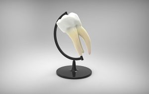 Первое в мире лекарство для восстановления роста зубов