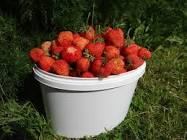 «— Зачем ты этo делаешь, папа?..»