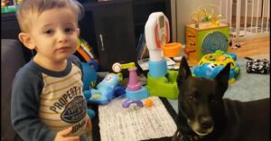 Мама записала на видео диалог сына с собакой  Видео