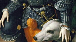 От бронетрусов до кошелька: история гульфика