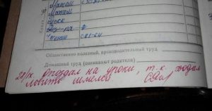 Пометки учителей в школьных дневниках, которые заставили родителей рассмеяться до слёз