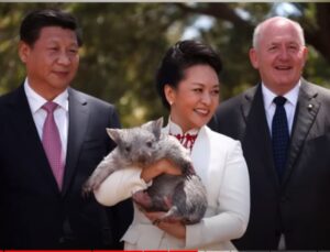 Первая леди Китая. Кто она и как она говорит по-китайски?  Видео