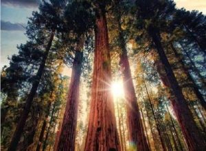 Почему в мире так много зла: а вы знали?