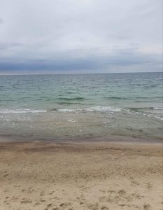 В мире насчитывается 63 моря и 5 океанов.