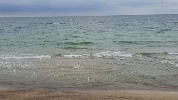 В мире насчитывается 63 моря и 5 океанов.