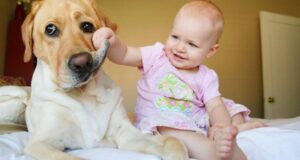 Доброта в мире живет в маленьких сердцах: самые добрые и самые милые фотографии детей с животными