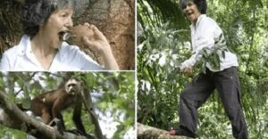 Женщине пришлось жить в лесу с обезьянами 10 лет