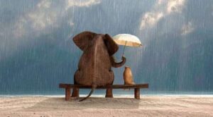 Американские ученые доказали, что хороших людей в мире больше, чем плохих