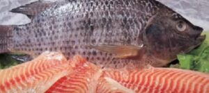 10 ПРОДУКТОВ ИЗ КИТАЯ, СОДЕРЖАЩИХ ПЛАСТИК, ПЕСТИЦИДЫ И КАНЦЕРОГЕНЫ  Видео