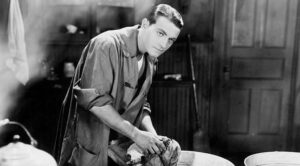 Роман в объявлениях