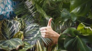 6 забавных уроков жизни с глубокой моралью