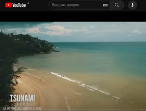 Цунами: момент, когда все изменилось  Видео