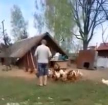 Улыбнитесь  Видео