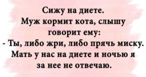 Актуальная коллекция интересных и веселых шуток, историй и анекдотов