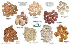 Всё об орехах