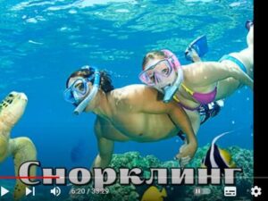 КРАСНОЕ МОРЕ!! Пугающая Красота, самого тёплого моря!  Видео