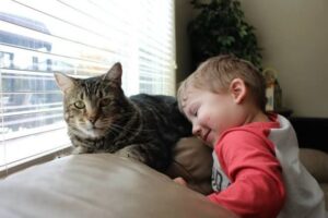 20 примеров того, что ничто человеческое животным не чуждо