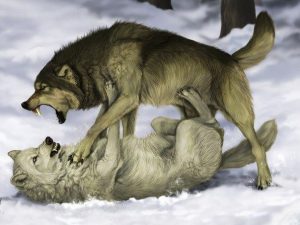 Мудрая притча про двух волков. Читается за 20 секунд, а запоминается на всю жизнь…