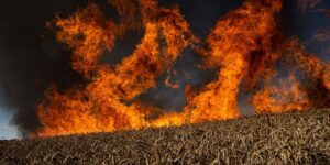 Ад на земле: Россия творит в Украине экологическую катастрофу, первые данные ужасают