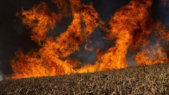 Ад на земле: Россия творит в Украине экологическую катастрофу, первые данные ужасают