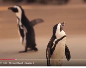 25 ПРИРОДНЫХ ЧУДЕС СВЕТА  Видео