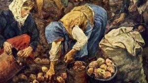 Чертово яблоко: почему крестьянам на Руси не нравилась картошка и как они устраивали бунты