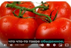 ..Никогда больше не совершайте этих 9 ошибок, когда едите ПОМИДОРЫ!  Видео
