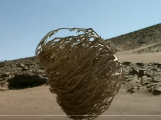 Самые Невероятные Растения в Мире  Видео