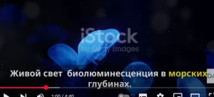 Удивительные способности животных: секреты природы  Видео