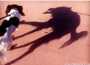 Шутки теней