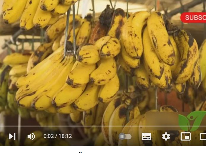 НИКОГДА НЕ ПОВТОРЯЙТЕ ЭТИ 8 ОШИБОК ПРИ УПОТРЕБЛЕНИИ БАНАНОВ!