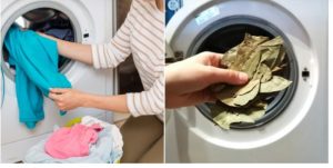 Зачем стирать вещи с лавровым листом: 8 хитростей, которые сделают быт проще