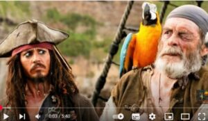 Вы знали, что пираты держали попугаев на корабле из-за необходимости?  Видео