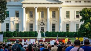 Бретт Вагнер: Трамп готовится применить Закон о восстании?