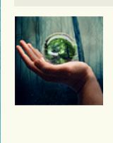 Не очень толерантный анекдот о зелёном голубе