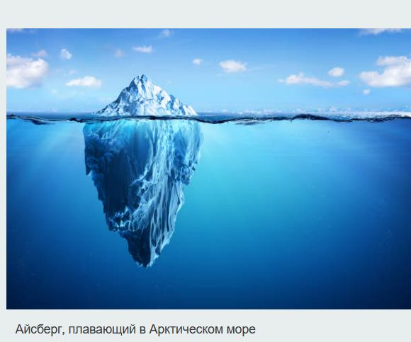 Под отколовшимся айсбергом в Антарктиде нашли уникальные формы жизни