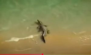 МОРЕ ДЬЯВОЛА!!!! Загадки Филиппинского Моря!!!  Видео