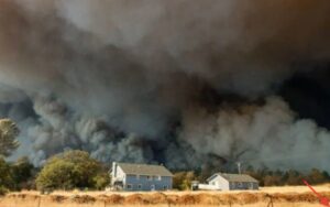 Дым горящего леса может быть опаснее радиации — Илья Хель