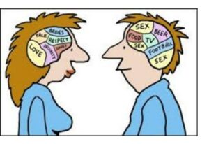 Различия между мужским и женским мозгом