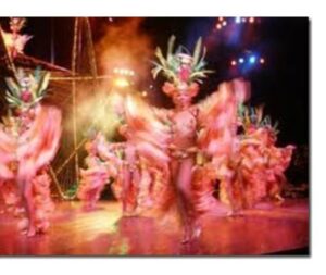 Сколько стоят "звёзды" на новый год?